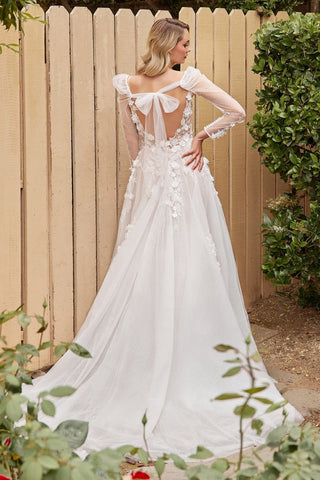 A-Line Removable Sleeves Illusion V-Neck Open V-Back Long Wedding Dress CDCDS436W